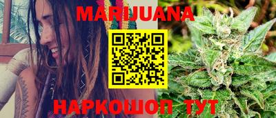 индика Можайск