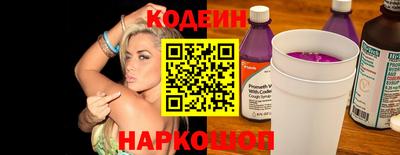 индика Можайск