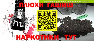 индика Можайск